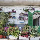 All'improvviso un angolo di paradiso pullulante di piante e fiori colorati spezza la rigidit� della fortificazione. Si tratta di una casetta con le persiane verdi che all�esterno presenta un vero e proprio giardino  con aiuole e vasi appoggiati sul pavimento o appesi alle pareti bianche